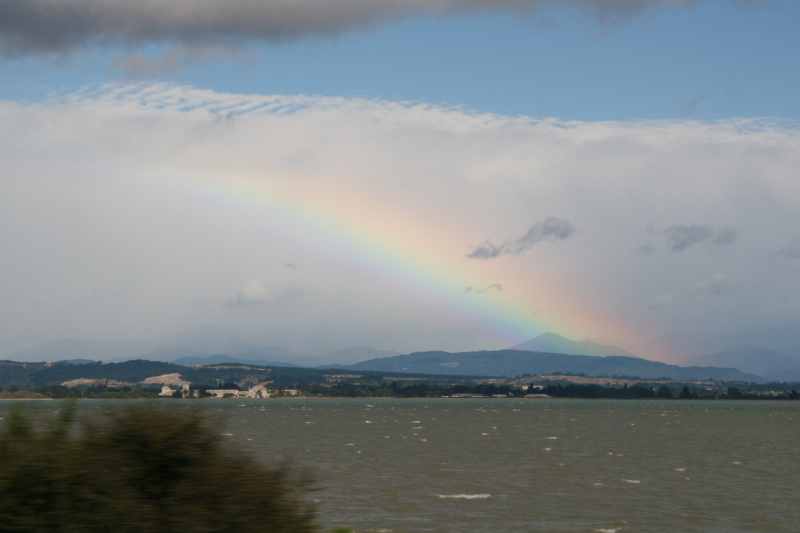 Nieuw-Zeeland 2011 - 1061